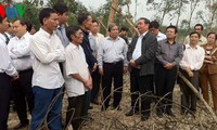 Memeriksa pekerjaan penanganan akibat taufan dan banjir di Vietnam Tengah