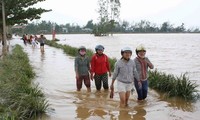 Perdana Menteri memberikan bimbingan untuk mengatasi akibat hujan dan banjir di daerah Vietnam Tengah dan daerah Tay Nguyen