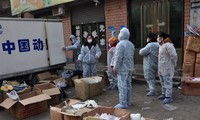 Di Tiongkok tambah lagi satu kasus terkena virus flu unggas tipe H7N9 yang baru