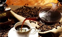 Perkenalan tentang usaha penanaman kopi di Vietnam
