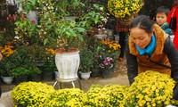 Bergeloranya pasar bunga di kota Lao Cai