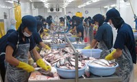 Kongres Amerika Serikat mengesahkan RUU yang menyulitkan produk ikan tak bersisik eks Vietnam