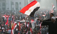 Mesir: pihak Islam membentuk persekutuan baru