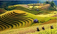 Kemampuan bercocok tanam dalam pertanian dari rakyat etnis minoritas Mong