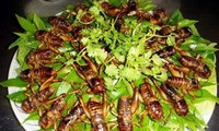 Makan serangga di kota Hanoi – Apakah Anda berani mencobanya?
