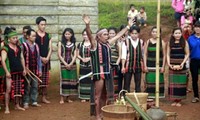 Organisasi komunitas dan hukum adat warga etnis minoritas M’Nong