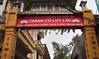 Situs peninggalan  sejarah Luy Lau adalah salah satu diantara pusat-pusat budaya dari orang Viet purba