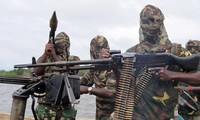 Nigeria menegaskan bahwa kedaulatan wilayahnya tidak dirugikan oleh keberadaan pasukan asing