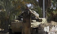 Tentara Mesir membasmi dan menangkap kira-kira 200 pemberontak di Sinai