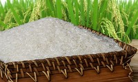 Membawa beras Vietnam menjadi brand papan atas di dunia