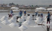 Hon Khoi - Lumbung garam yang paling besar di Vietnam Tengah