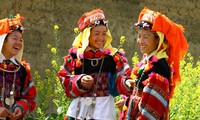 Ciri budaya yang unik dari warga etnis minoritas Lo Lo di daerah dataran tinggi batu Dong Van