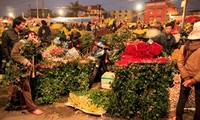 Pasar bunga malam hari Quang Ba – pasar yang unik di kota Hanoi
