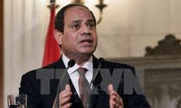 Mesir dan Perancis membahas cara mengatasi krisis di daerah MENA