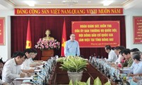Wakil Ketua Dewan Pemilihan Nasional Nguyen Thien Nhan memeriksa pekerjaan pemilihan di provinsi Dong Nai