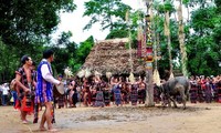 Lokakarya: “Proyek pengembangan pariwisata yang bertanggung jawab dan berkesinambungan di Vietnam Tengah”