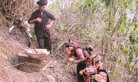 Upacara pemujaan dukuh, ciri kepercayaan yang unik dari warga etnis minoritas Ha Nhi