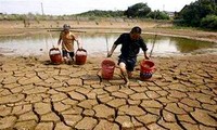 WB mengesahkan bantuan kira-kira 380 juta dolar Amerika Serikat kepada Vietnam untuk menghadapi perubahan iklim
