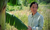 Vietnam menghadiri festival “Film yang untuk pertama diputar di dunia – Filipina 2016”