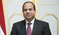 Mesir mendorong pembentukan Zona Perdagangan Bebas Afrika