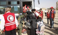 Tentara Suriah merebut kembali kontrol terhadap kota madya Daraya