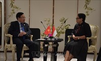 ZEE : le Vietnam et l’Indonésie poursuivent leurs négociations 