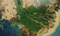 Förderung des grünen Wirtschaftszweigs in der erweiterten Mekong Subregion