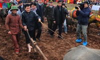 Staatspräsident Truong Tan Sang nimmt an einem Reisanbau-Fest teil