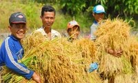 Landwirtschaft spielt eine Schlüsselrolle in der Entwicklung Vietnams