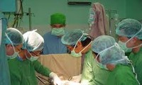 Organtransplantation –eine Errungenschaft des vietnamesischen Gesundheitswesens