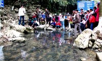 Heiligenfisch-Umzug zum Neujahr in Thanh Hoa
