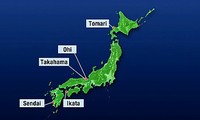 Japanische Kraftwerkbetreiber beantragen Wiederinbetriebnahme ruhender Reaktoren