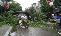 Nordvietnamesische Provinzen beseitigen die Folgen des Taifuns Mangkhut