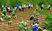 Vietnam engagiert sich für Aktivitäten gegen Klimawandel