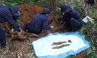 Vietnam will bis 2015 rund 10.000 sterbliche Überreste von gefallenen Soldaten finden