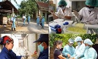 Vietnam ist bereit für den Kampf gegen die Vogelgrippe-Virus H7N9