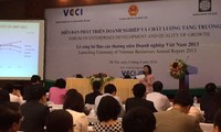 Vietnamesischer Unternehmensbericht 2013