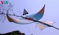 Drachenfest vor Flaggenturm in der Kaiserstadt Hue 