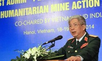 Vietnam fördert Zusammenarbeit in humanitärer Minenräumung