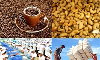 Verbesserung der Exportwerte landwirtschaftlicher Produkte Vietnams