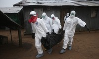 WHO: Zahl der Ebola-Opfer auf 1350 gestiegen