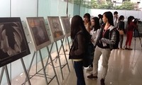Fotoausstellung über vietnamesische Kulturschätze in Hanoi