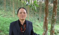 Eine fleißige Frau der Minderheitsvolksgruppe Dao in der Provinz Yen Bai