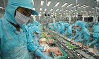 Importzollsenkung für Waren setzt vietnamesische Unternehmen unter Druck