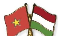 Vietnamesisch-ungarische Freundschaftsgesellschaft erhält Arbeitsorden