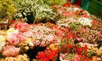 Blumengroßmarkt Quang Ba – Einzigartiger Markt der Hauptstadt