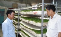 Hilfsfonds für Landwirte in Ho Chi Minh Stadt