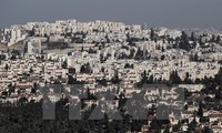 Palästina verurteilt die israelische Besatzung durch Siedlungsbau