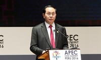 APEC 2017 bekräftigt die Stellung Vietnams auf der internationalen politischen Bühne