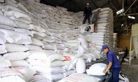 2000 Tonnen Reis für Einwohner in der Provinz Binh Dinh zur Verfügung gestellt 